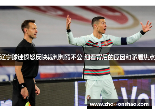 辽宁球迷愤怒反映裁判判罚不公 细看背后的原因和矛盾焦点