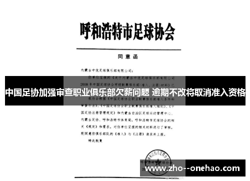 中国足协加强审查职业俱乐部欠薪问题 逾期不改将取消准入资格 中国足协加强审查职业俱乐部欠薪问题 逾期不改将取消准入资格