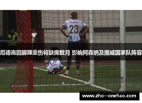 厄德高因脚踝重伤将缺席数月 影响阿森纳及挪威国家队阵容 厄德高因脚踝重伤将缺席数月 影响阿森纳及挪威国家队阵容
