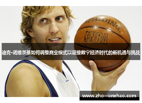 迪克·诺维茨基如何调整商业模式以迎接数字经济时代的新机遇与挑战