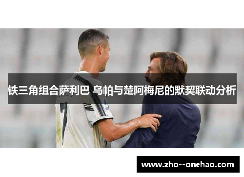 铁三角组合萨利巴 乌帕与楚阿梅尼的默契联动分析