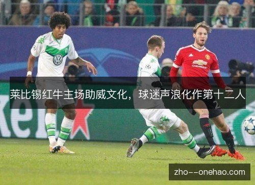 莱比锡红牛主场助威文化,球迷声浪化作第十二人 莱比锡红牛主场助威文化,球迷声浪化作第十二人